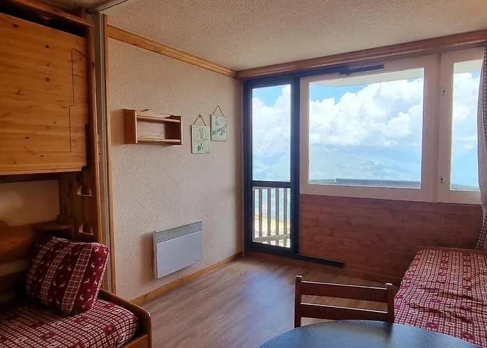 Confortable Acces Direct Aux Pistes, Animaux Admis - Fr-1-181-2583 * La Plagne