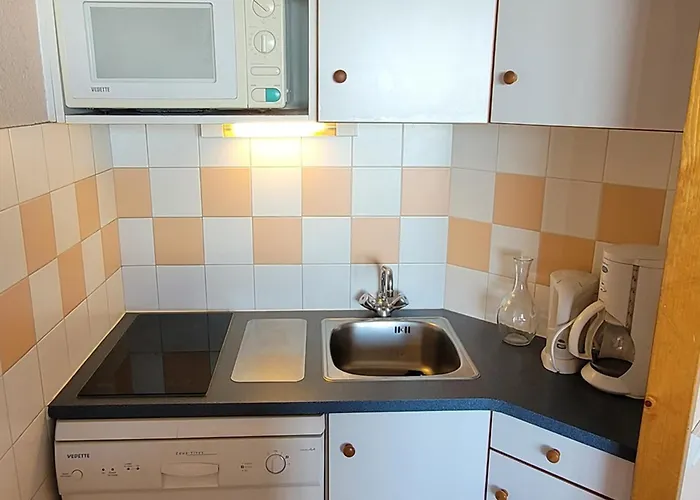 Confortable Acces Direct Aux Pistes, Animaux Admis - Fr-1-181-2583 Apartment *