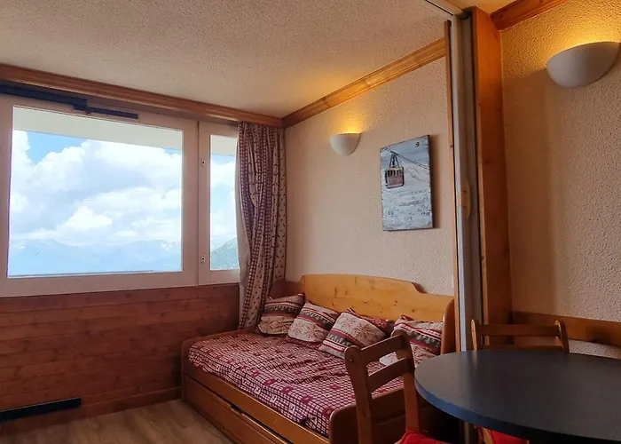 Confortable Acces Direct Aux Pistes, Animaux Admis - Fr-1-181-2583 Apartment La Plagne